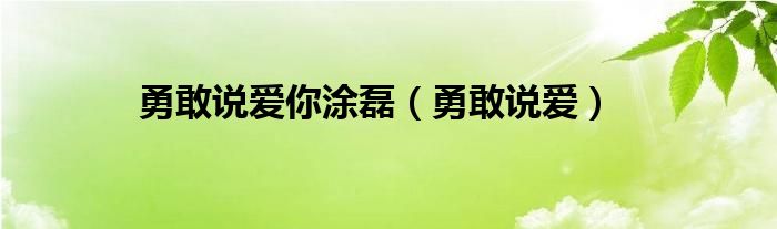 勇敢说爱你涂磊（勇敢说爱）