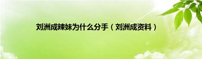 刘洲成辣妹为是什么分手（刘洲成资料）