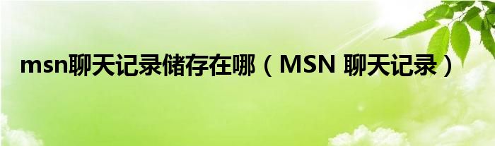 msn聊天记录储存在哪（MSN 聊天记录）