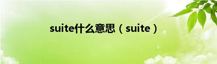 suite是什么意思（suite）