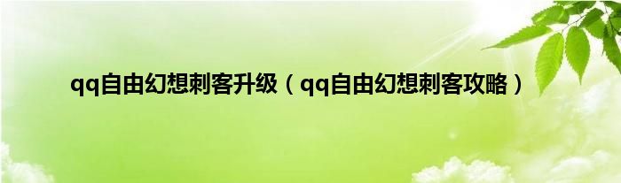 qq自由幻想刺客升级（qq自由幻想刺客攻略）