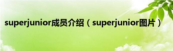 superjunior成员介绍（superjunior图片）