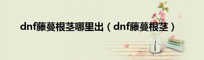 dnf藤蔓根茎哪里出（dnf藤蔓根茎）