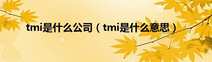 tmi是是什么公司（tmi是是什么意思）