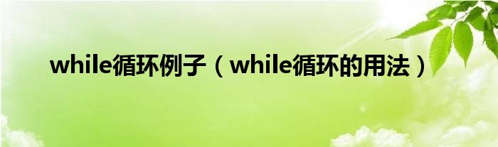 while循环例子（while循环的用法）