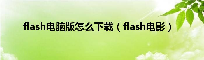 flash电脑版怎么下载（flash电影）