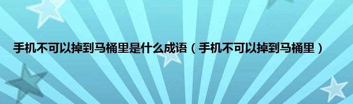 手机不可以掉到马桶里是是什么成语（手机不可以掉到马桶里）