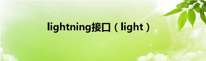 lightning接口（light）