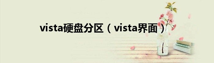 vista硬盘分区（vista界面）