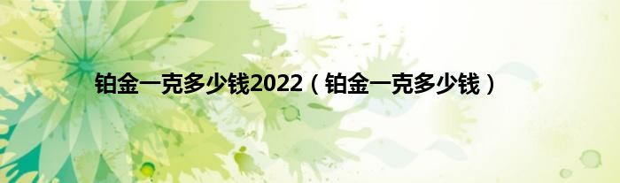 铂金一克多少钱2022（铂金一克多少钱）