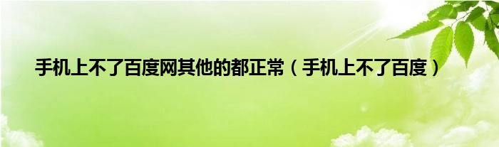 手机上不了百度网其他的都正常（手机上不了百度）