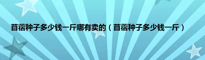 苜蓿种子多少钱一斤哪有卖的（苜蓿种子多少钱一斤）