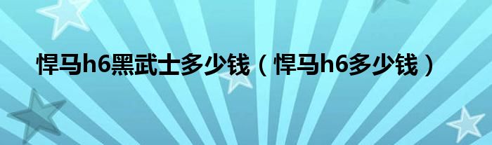 悍马h6黑武士多少钱（悍马h6多少钱）