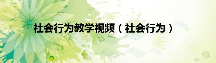 社会行为教学视频（社会行为）