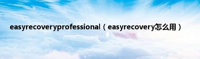 easyrecoveryprofessional（easyrecovery怎么用）