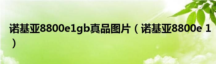 诺基亚8800e1gb真品图片（诺基亚8800e 1）