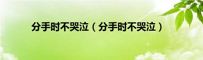 分手时不哭泣（分手时不哭泣）