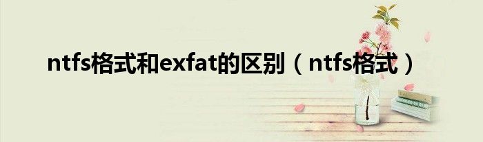 ntfs格式和exfat的区别（ntfs格式）