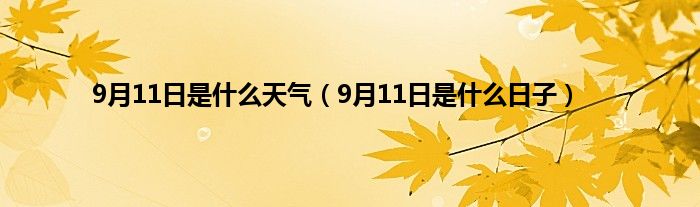 9月11日是是什么天气（9月11日是是什么日子）