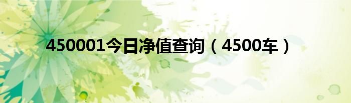 450001今日净值查询（4500车）