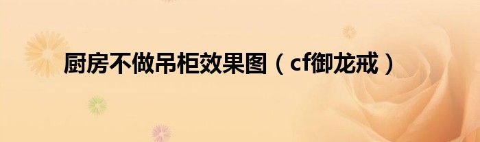 厨房不做吊柜效果图（cf御龙戒）