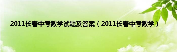 2011长春中考数学试题及答案（2011长春中考数学）