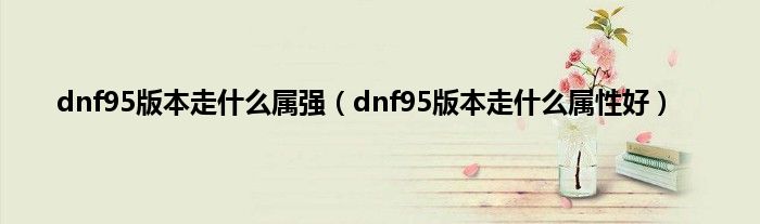 dnf95版本走是什么属强（dnf95版本走是什么属性好）