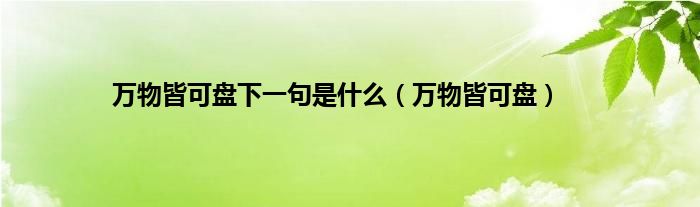 万物皆可盘下一句是是什么（万物皆可盘）