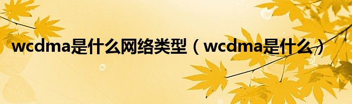 wcdma是是什么网络类型（wcdma是是什么）