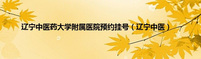 辽宁中医药大学附属医院预约挂号（辽宁中医）