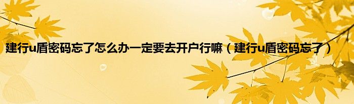 建行u盾密码忘了怎么办一定要去开户行嘛（建行u盾密码忘了）