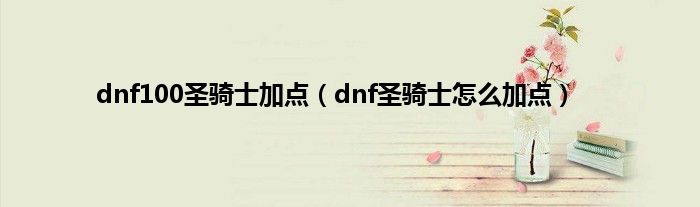 dnf100圣骑士加点（dnf圣骑士怎么加点）