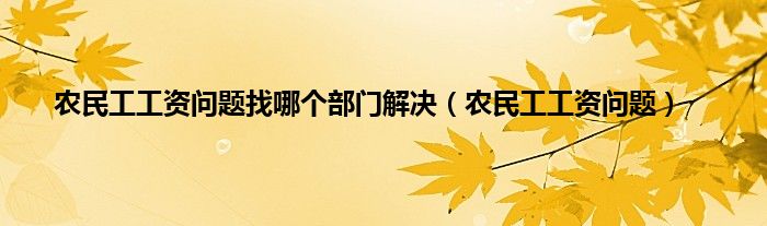 农民工工资问题找哪个部门解决（农民工工资问题）