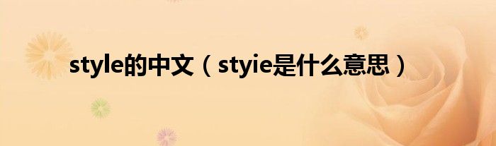 style的中文（styie是是什么意思）