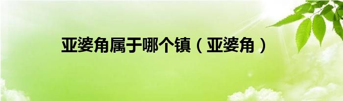 亚婆角属于哪个镇（亚婆角）