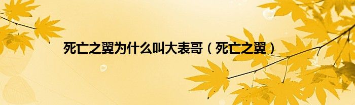 死亡之翼为是什么叫大表哥（死亡之翼）