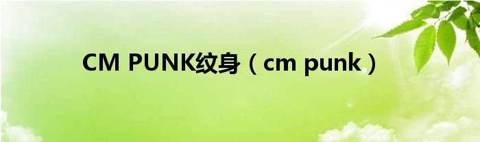 CM PUNK纹身（cm punk）