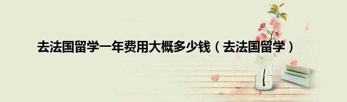 去法国留学一年费用大概多少钱（去法国留学）