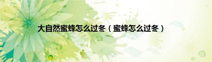 大自然蜜蜂怎么过冬（蜜蜂怎么过冬）