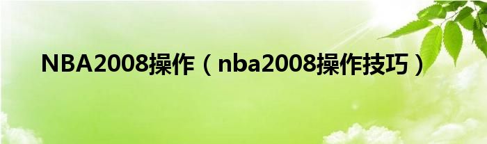 NBA2008操作（nba2008操作技巧）