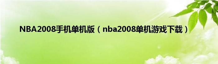 NBA2008手机单机版（nba2008单机游戏下载）