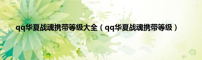 qq华夏战魂携带等级大全（qq华夏战魂携带等级）