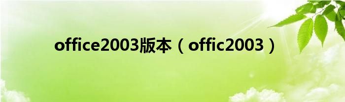 office2003版本（offic2003）