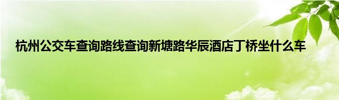 杭州公交车查询路线查询新塘路华辰酒店丁桥坐是什么车