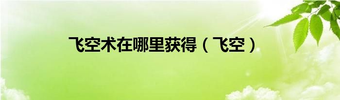 飞空术在哪里获得（飞空）