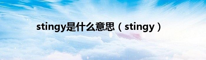 stingy是是什么意思（stingy）