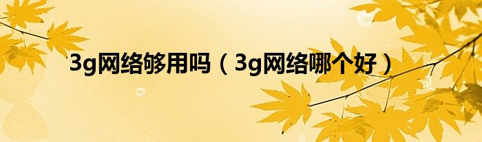 3g网络够用吗（3g网络哪个好）