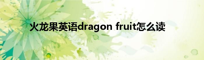 火龙果英语dragon fruit怎么读