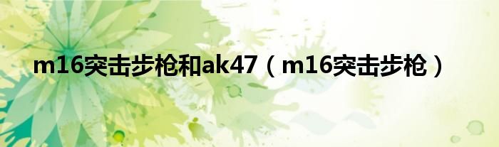 m16突击步枪和ak47（m16突击步枪）