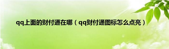 qq上面的财付通在哪（qq财付通图标怎么点亮）